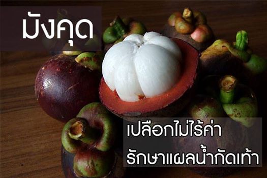 มังคุด ผลไม้ที่ใช้เป็นยาสมุนไพรไทย