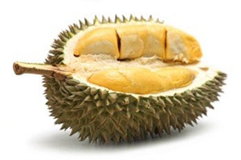 Durian-1